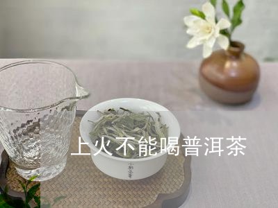 上火不能喝普洱茶/2023041054047