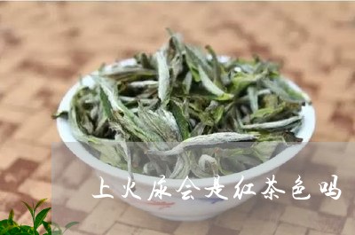 上火尿会是红茶色吗/2023031839289