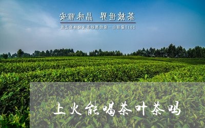 上火能喝茶叶茶吗/2023032683637