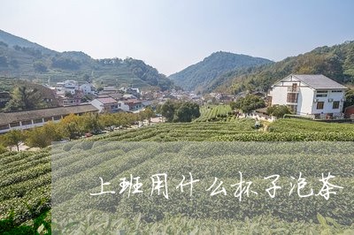 上班用什么杯子泡茶/2023041651703