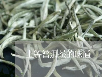 上等普洱茶的味道/2023041272805