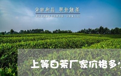 上等白茶厂家价格多少一斤/2023040134382