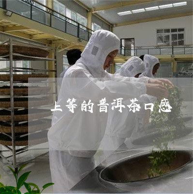 上等的普洱茶口感/2023040993817