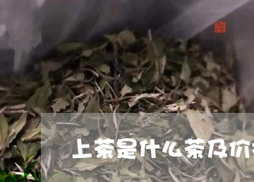 上茶是什么茶及价格/2023041636368