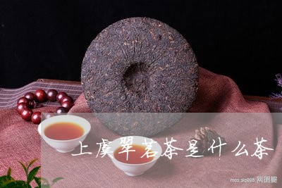 上虞翠茗茶是什么茶/2023041518363