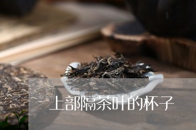 上部隔茶叶的杯子/2023032525027