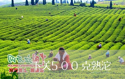 下关500克熟沱/2023032477049