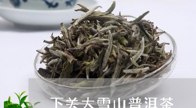 下关大雪山普洱茶/2023041369582