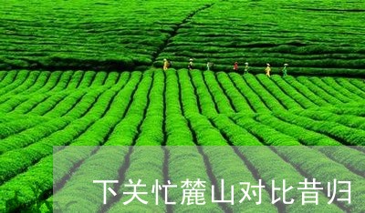 下关忙麓山对比昔归/2023031864957