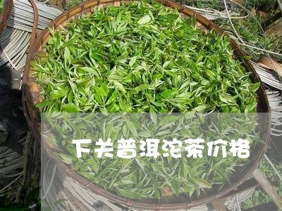 下关普洱沱茶价格/2023032972814