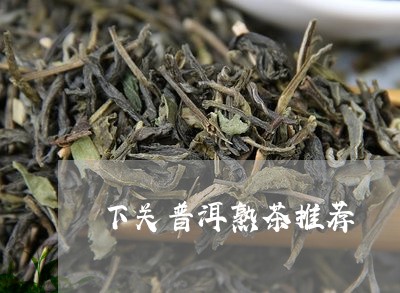 下关普洱熟茶推荐/2023031799360