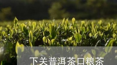 下关普洱茶口粮茶/2023031778404