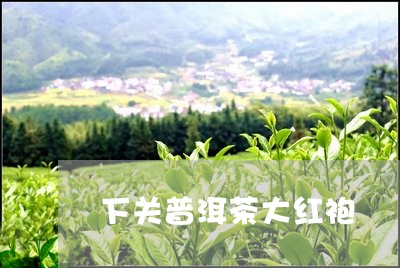 下关普洱茶大红袍/2023031602725