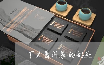 下关普洱茶的好处/2023040902837