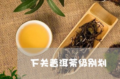 下关普洱茶级别划/2023041052705