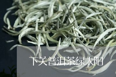 下关普洱茶绿太阳/2023031826201