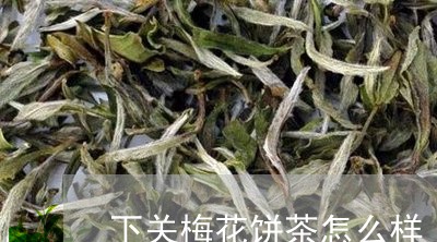 下关梅花饼茶怎么样/2023032173935