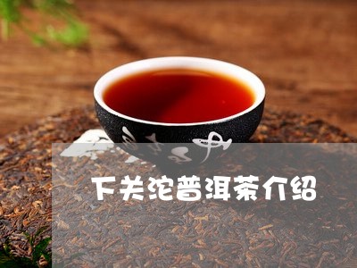 下关沱普洱茶介绍/2023041172727