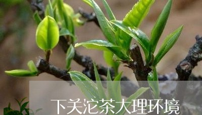 下关沱茶大理环境/2023032579384