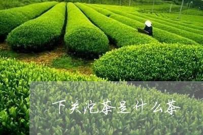 下关沱茶是什么茶/2023031816150