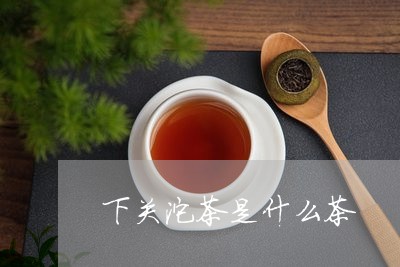 下关沱茶是什么茶/2023041483927