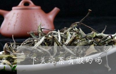 下关沱茶有假的吗/2023041305259