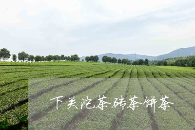 下关沱茶砖茶饼茶/2023032510481