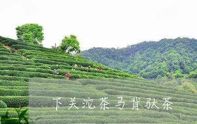 下关沱茶马背驮茶/2023032588570