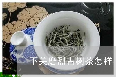 下关磨烈古树茶怎样/2023032273028