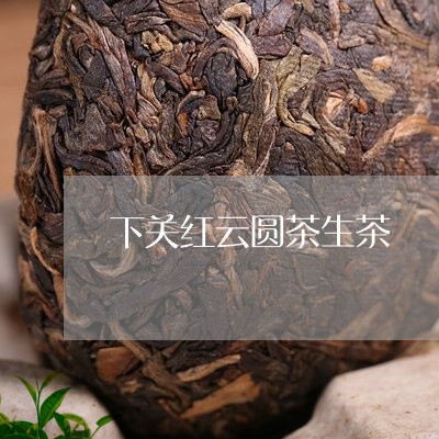 下关红云圆茶生茶/2023032511693