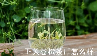 下关苍松茶厂怎么样/2023041779403