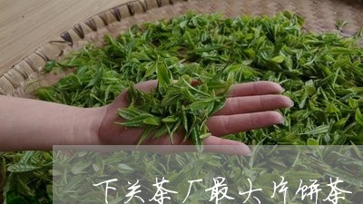 下关茶厂最大片饼茶/2023041738379