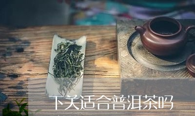 下关适合普洱茶吗/2023041027360