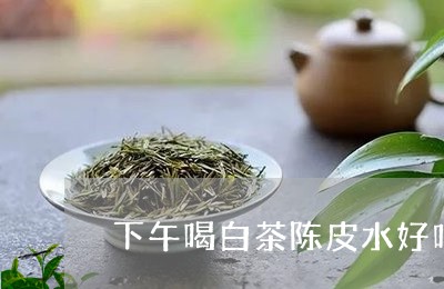 下午喝白茶陈皮水好吗减肥/2023040153716