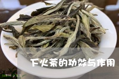 下火茶的功效与作用/2023041787260