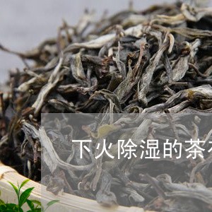 下火除湿的茶有哪些/2023032027248