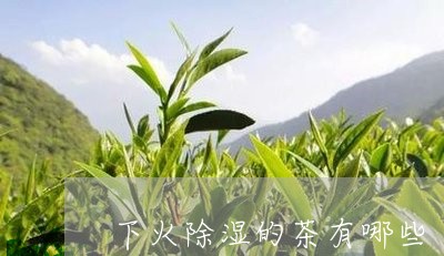 下火除湿的茶有哪些/2023041504248