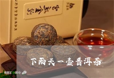 下雨天一壶普洱茶/2023033056169