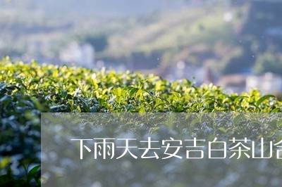 下雨天去安吉白茶山合适吗/2023033184948