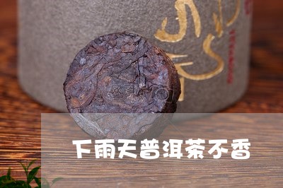 下雨天普洱茶不香/2023033166302