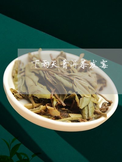 下雨天普洱茶发霉/2023031645025