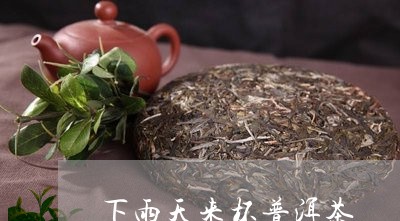 下雨天来杯普洱茶/2023033161694