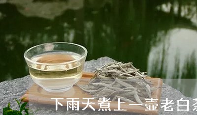 下雨天煮上一壶老白茶好吗/2023033196450