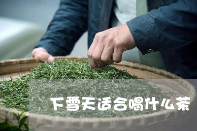 下雪天适合喝什么茶/2023041513927