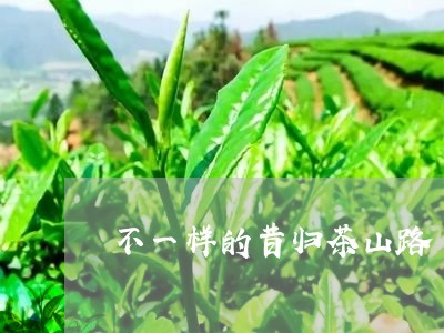 不一样的昔归茶山路/2023041575061