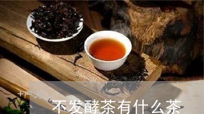 不发酵茶有什么茶/2023032209362