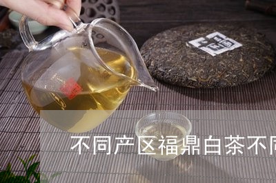 不同产区福鼎白茶不同口感/2023033150694