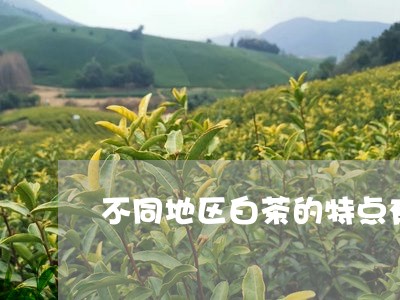 不同地区白茶的特点有哪些/2023040168562