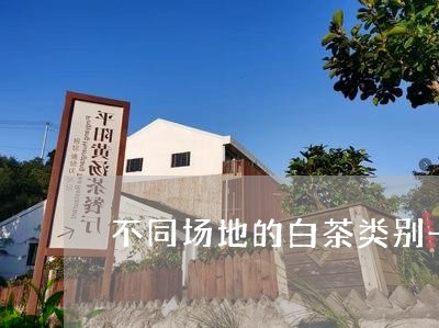 不同场地的白茶类别一样吗/2023040139371