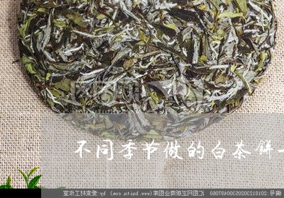 不同季节做的白茶饼一样吗/2023040169204